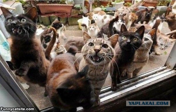 Чёрт, чёрт, чёрт!