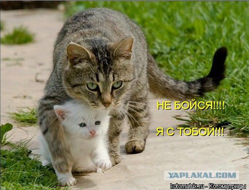 Чёрт, чёрт, чёрт!
