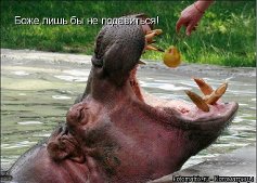 Чёрт, чёрт, чёрт!
