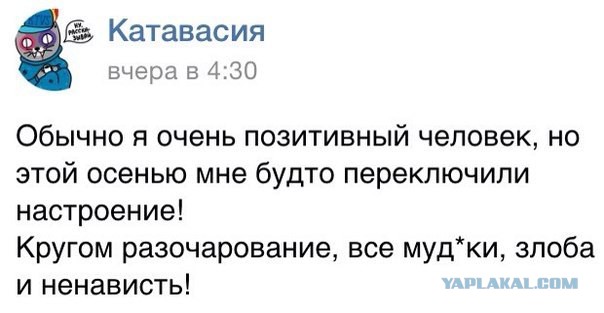 Веселые картинки