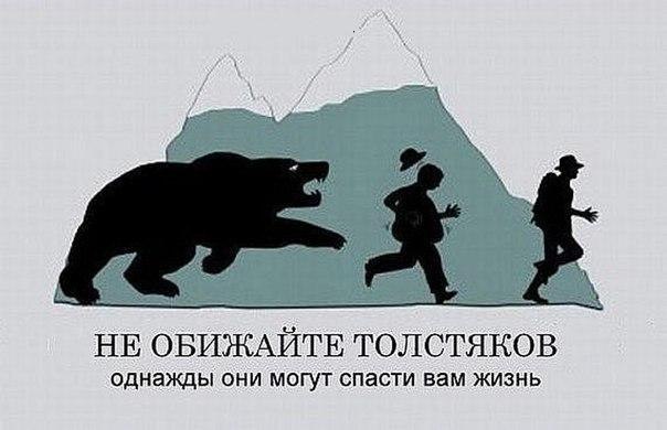 Весёлые картинки