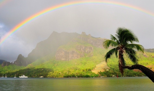 Картинки, Гифки, скрасим понедельник