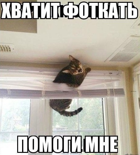 Животные ,которые застряли.