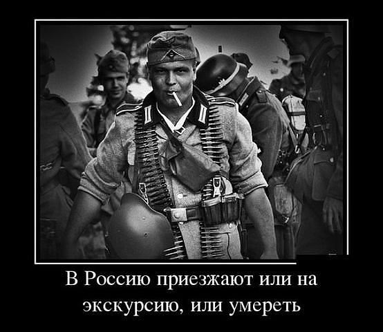Забавные картинки из Сети