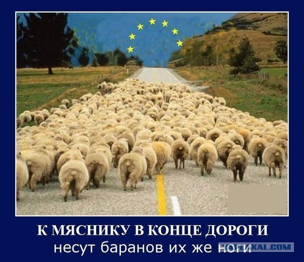 Поминки в Кривом Роге и правый сектор...