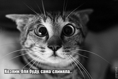 По следам горячих событий