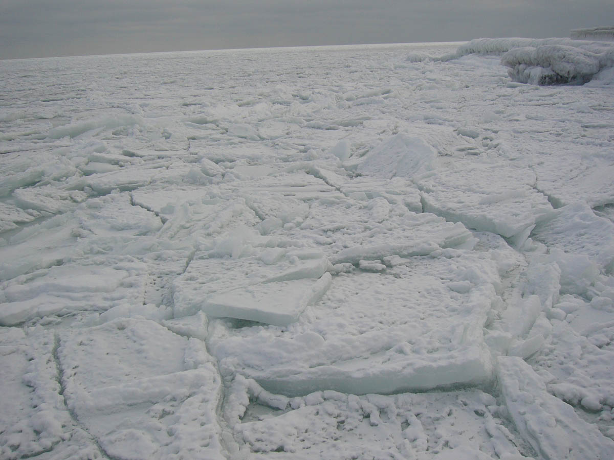 Почему не замерзает баренцево. Замерзшее море. Замерзшее белое море. Белое море Торосы. Белое море зимой замерзает.