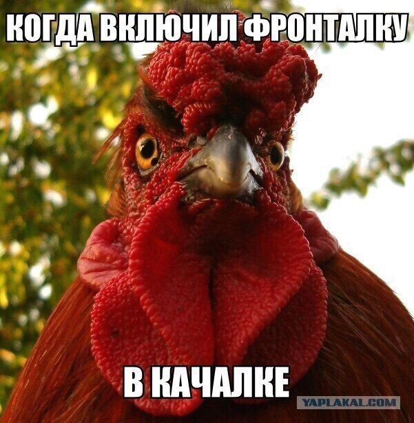 Типичные ситуации в качалке