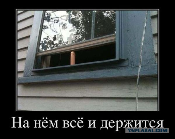 Прикольные картинки и демотиваторы