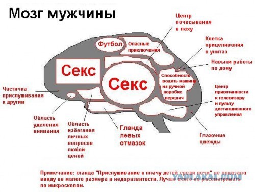 Коротко о бабах
