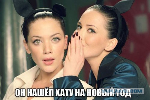 Приколы из сети