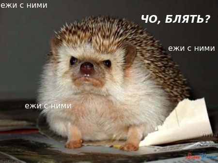 Уничтожают документы по фильму чайка