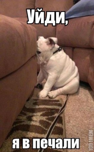 Веселые картинки