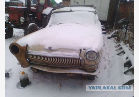 Преданные и брошенные четырехколесные друзья человека