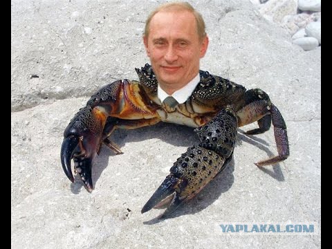 Как мы варили краба на берегу Баренцева моря