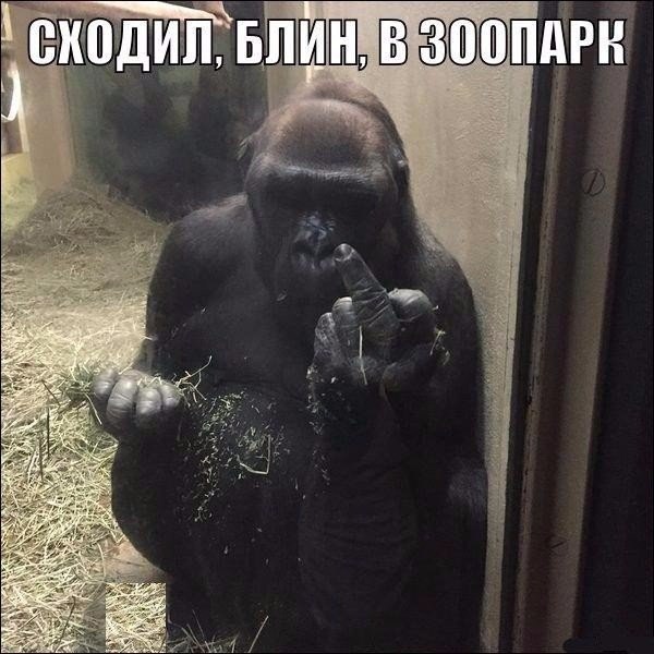 Картинки на пятницу