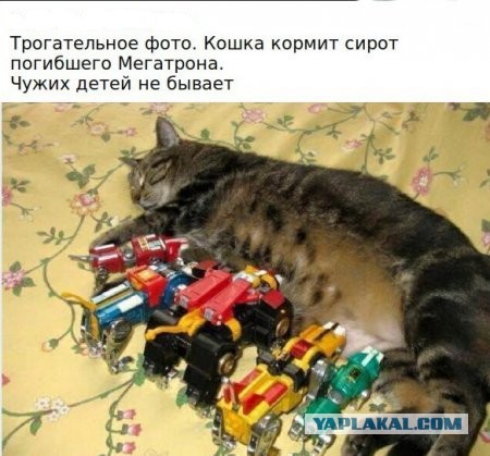 Картинки с инернетов
