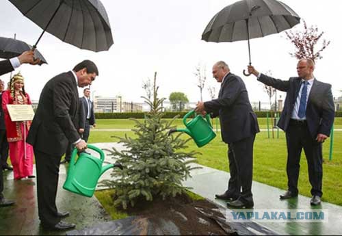 Для поднятия настроения - 7