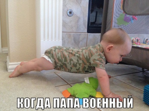 Подборка веселых картинок