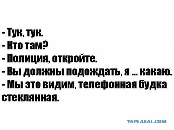 Смешные комментарии 14.08.2016
