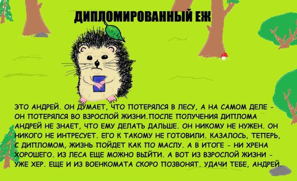Картинки из интернетов