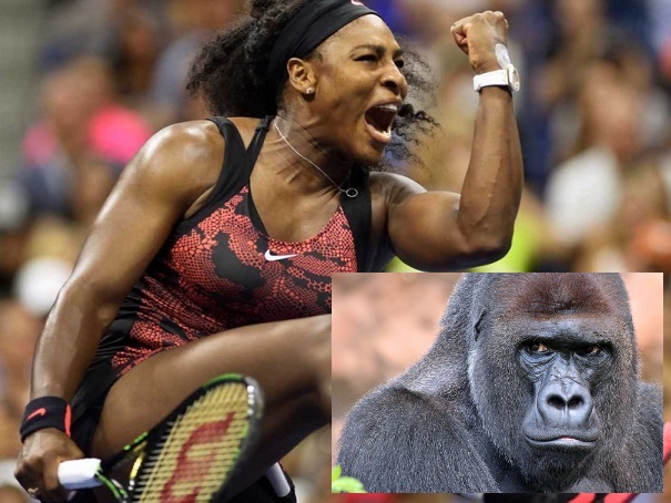 Комментатор ESPN сравнил Винус Уильямс с гориллой