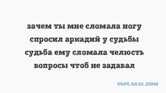 Смешные комментарии из социальных сетей 10.02.2017