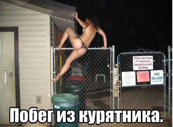 Подборка безудержного веселья