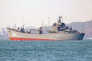 Сомалийские пираты против частной охраны корабля