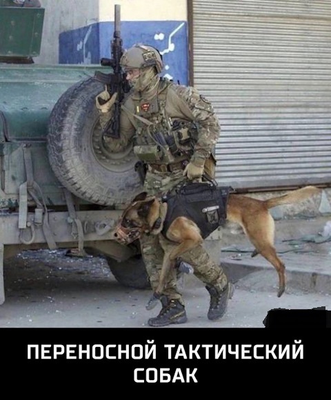 Картинки для поднятия настроения