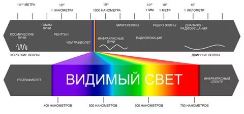 Ученые впервые увидели облик смерти