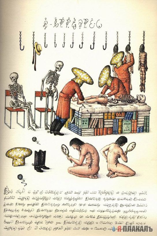 Codex Seraphinianus - что курил автор?