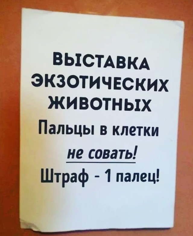 Те самые предупреждения, которые поднимут настроение в конце недели