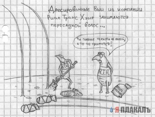 Рисунки простым карандашом