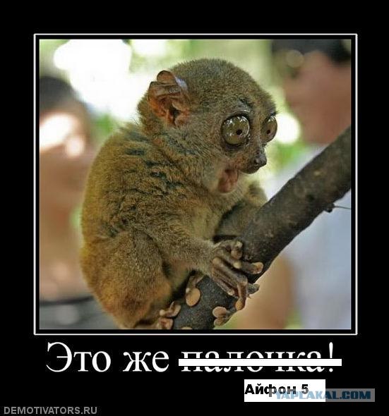 Пидорги завоевали планету