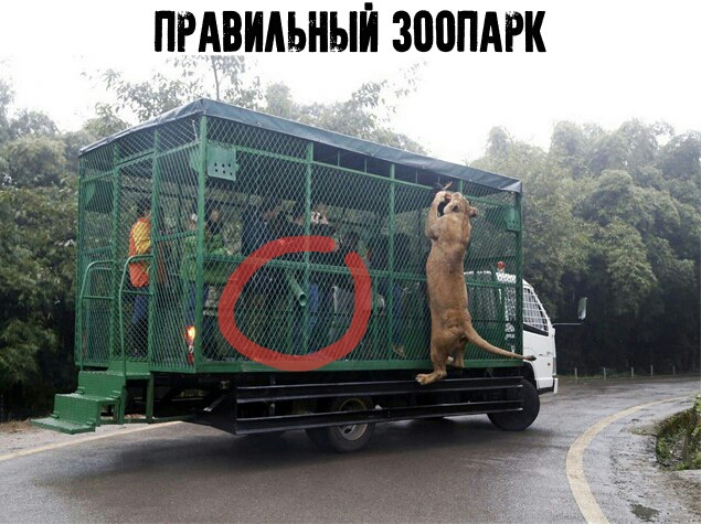 Нестандартный юмор
