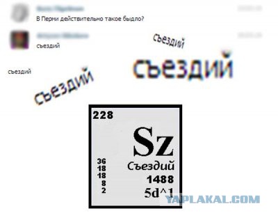 Кандидаты на премию Дарвина. Стая гепардов и французская семья.