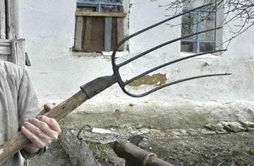 Комитет Госдумы поддержал проекты о запрете оскорбления власти в сети и фейковых новостях