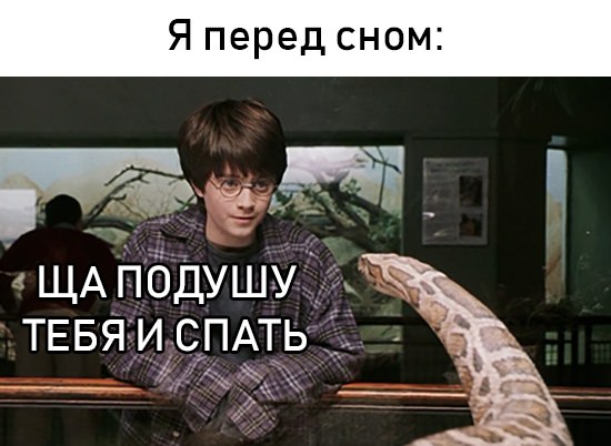 12588191.jpg