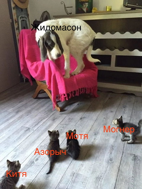 Гражданский брак — это всего лишь иллюзия
