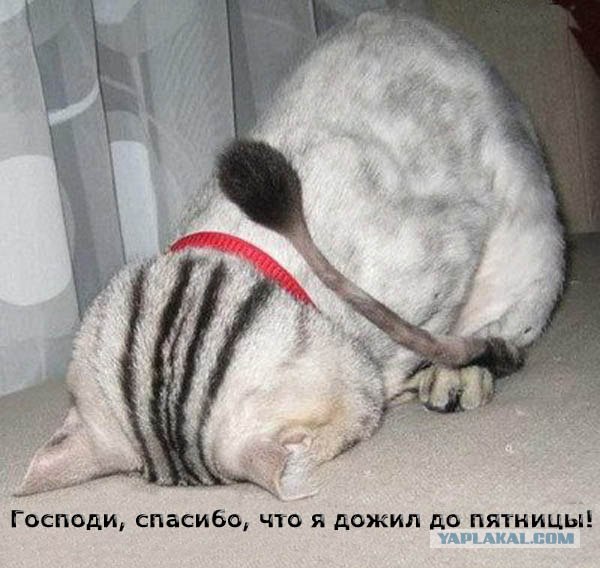 Первая ПЯТНИЦА июля! 04.07.08 - 13 фот