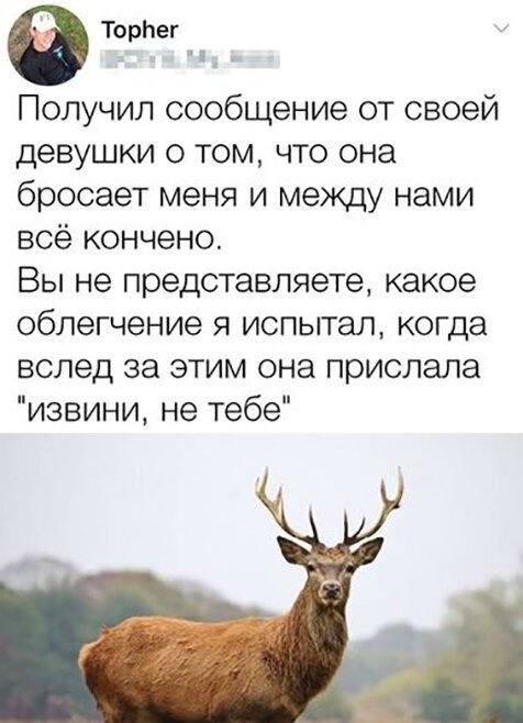 Кретинки 09.01.20