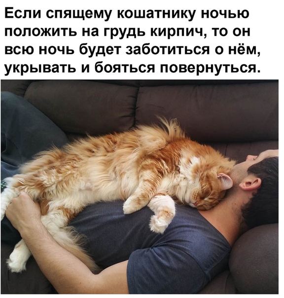 Немного картинок для настроения 02.05.20