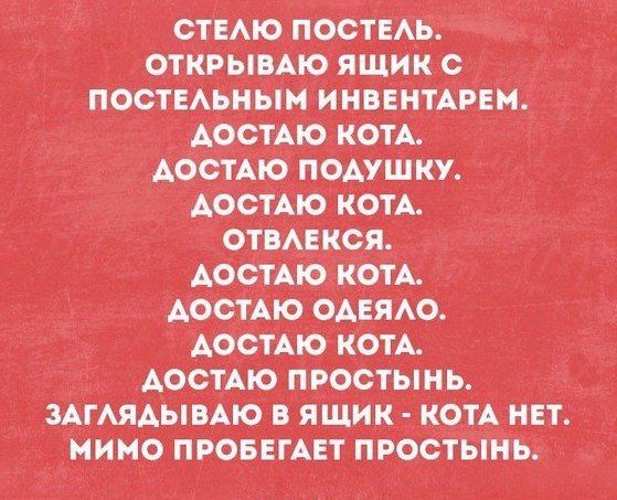 Бредзона 19.07.2020
