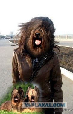 Обработайте фото