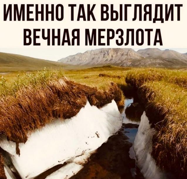 Знаете ли вы что.