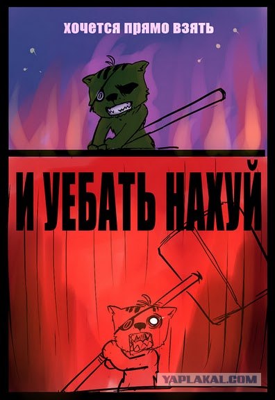 Че за фигня?!