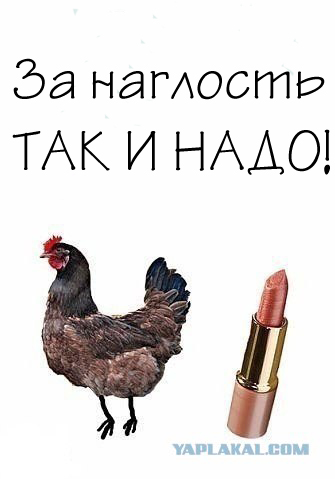 Хотел объехать пробку? Жди трактор!