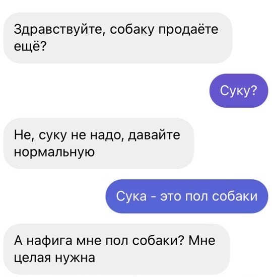 Пазл