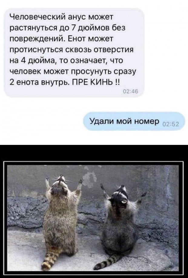 А теперь к важным новостям (про гавно)